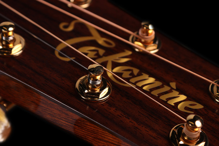 GITARA ELEKTROAKUSTYCZNA - TAKAMINE P4DC