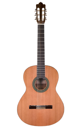 Prodipe Guitars Recital 300 4/4 - gitara klasyczna