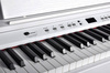 Ringway RP120 WH - pianino cyfrowe