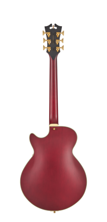 D’Angelico Deluxe Bobby Weir Trans Wine - gitara elektryczna