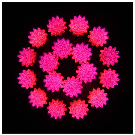 EVOLIGHTS NEO BEAM 100W głowica ruchoma LED oświet