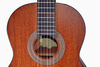 Samick CNG-1 NSSV - gitara klasyczna