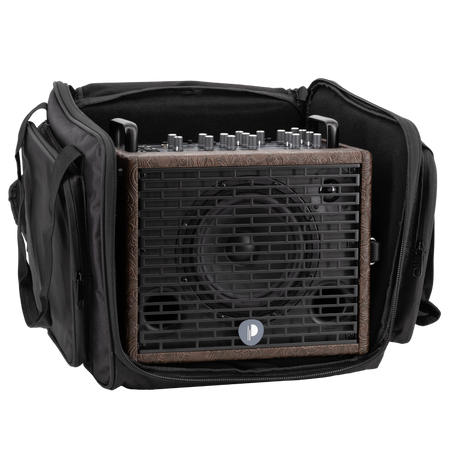 Prodipe Traveler 6 - combo akustyczne 120W