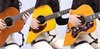 Guitto GGR-01 - Podgitarnik