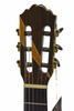 Samick CNG-4CE N - gitara elektroklasyczna