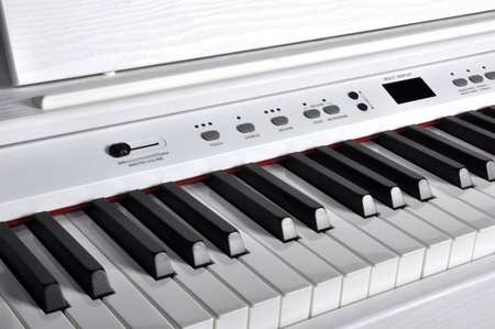 Ringway RP120 WH - pianino cyfrowe