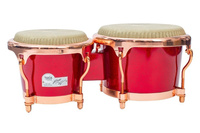 Bongo Eric Velez