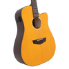 D'angelico Premier Bowery 12 LS Vintage Natural - gitara elektroakustyczna 12-strunowa