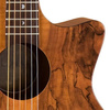 Luna Gypsy Exotic Spalt - gitara akustyczna