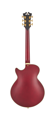 D’Angelico Deluxe Bobby Weir Trans Wine - gitara elektryczna