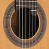 Prodipe Guitars Soloist 900 - gitara klasyczna