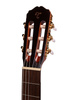 GITARA ELEKTROKLASYCZNA - TAKAMINE GC6CE-NAT