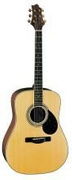 Samick D 6 N - gitara akustyczna