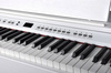 Ringway RP120 WH - pianino cyfrowe