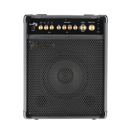 Kustom Camber 25 - combo basowe