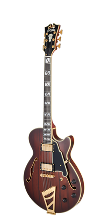 D’Angelico Deluxe SS Brown Burst - gitara elektryczna