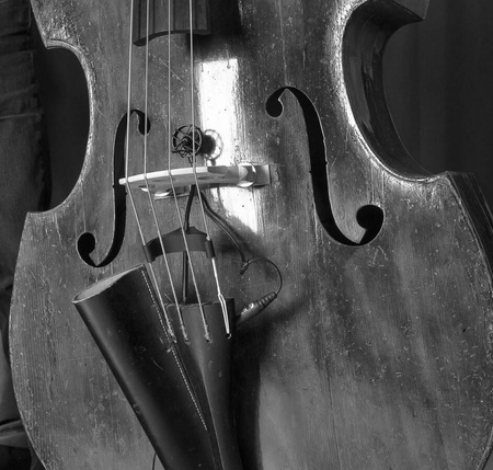 Prodipe BL21 Lanen Contrebasse - mikrofon pojemnościowy - kontrabas