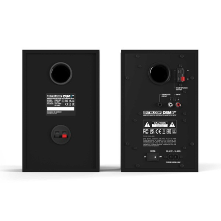 RELOOP DSM-3 BT