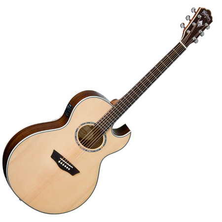 WASHBURN EA 20 SNB (N)