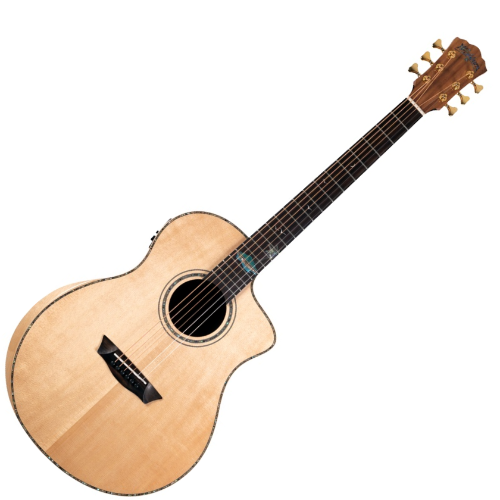 pol_po_WASHBURN-BTS-C56-SCE-N-gitara-elektroakustyczna-17017_1.png