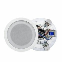 Głośnik 100V NSP NS-304