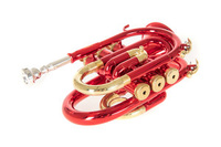 Bb-trąbka kieszonkowa Roy Benson PT-101R