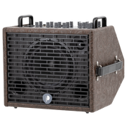 Prodipe Traveler 6 - combo akustyczne 120W