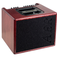 AER COMPACT 60 IV (OMH) combo do gitary akustycznej
