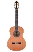 Prodipe Guitars Recital 300 4/4 - gitara klasyczna