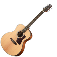WALDEN G 550 EW (N)