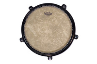 Conga Commuter Congas