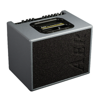 AER COMPACT 60 IV (GYSF) combo do gitary akustycznej