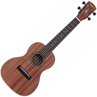 ALVAREZ RU 22 C ukulele